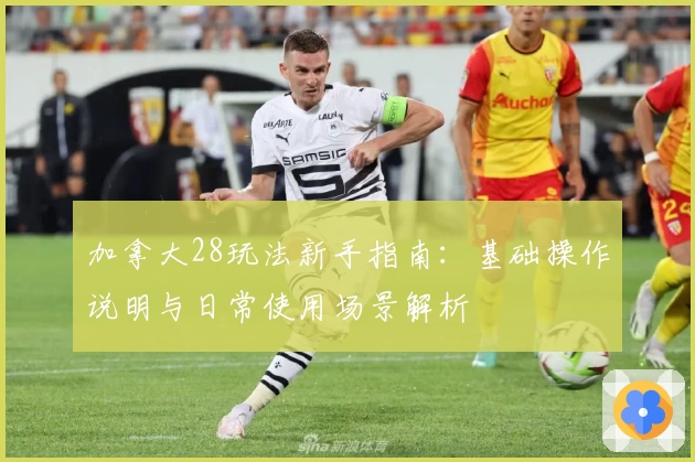 加拿大28玩法新手指南：基础操作说明与日常使用场景解析