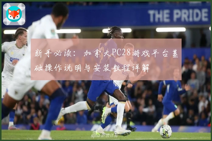 新手必读：加拿大PC28游戏平台基础操作说明与安装教程详解