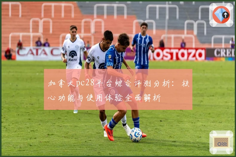 加拿大pc28平台综合评测分析：核心功能与使用体验全面解析