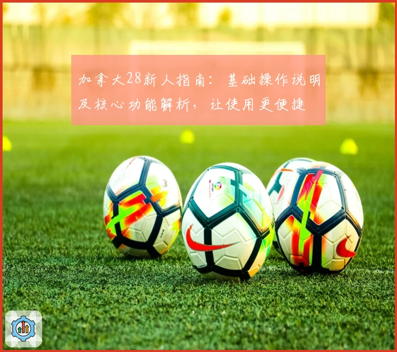 加拿大28新人指南：基础操作说明及核心功能解析，让使用更便捷