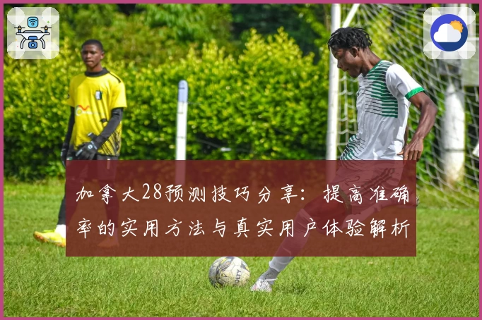加拿大28预测技巧分享：提高准确率的实用方法与真实用户体验解析