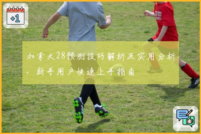 加拿大28预测技巧解析及实用分析，新手用户快速上手指南