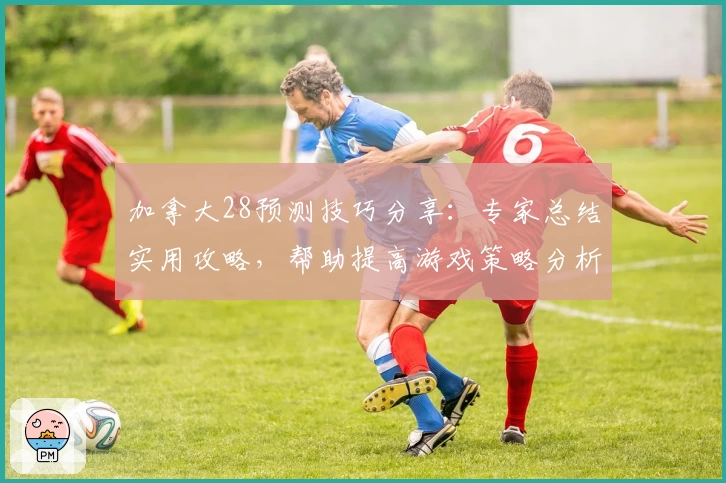 加拿大28预测技巧分享:专家总结实用攻略,帮助提高游戏策略分析能力
