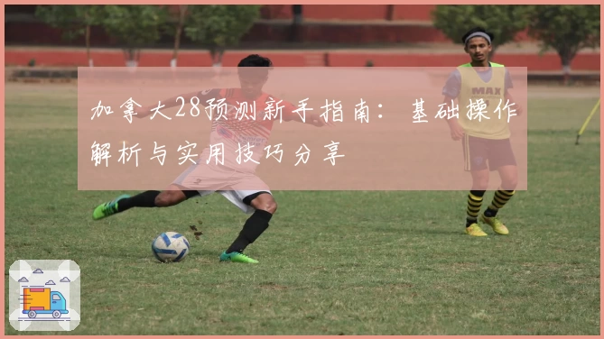 加拿大28预测新手指南：基础操作解析与实用技巧分享