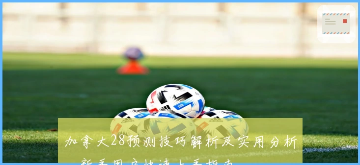 加拿大28预测技巧解析及实用分析，新手用户快速上手指南