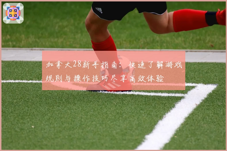 加拿大28新手指南：快速了解游戏规则与操作技巧尽享高效体验