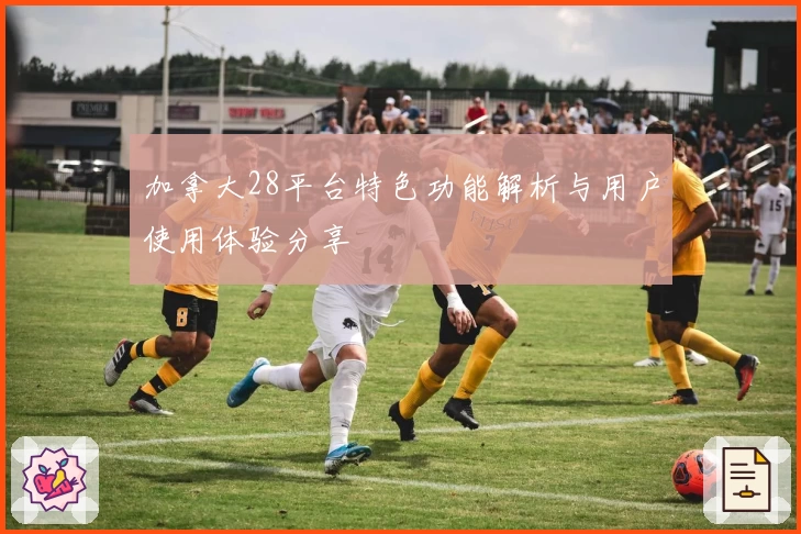 加拿大28平台特色功能解析与用户使用体验分享‍