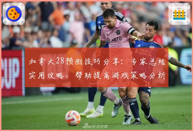 加拿大28预测技巧分享：专家总结实用攻略，帮助提高游戏策略分析能力