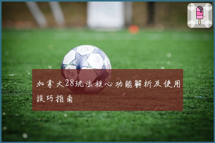 加拿大28玩法核心功能解析及使用技巧指南